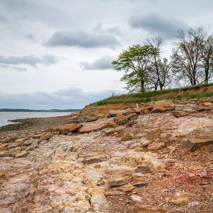 image of a shoreline